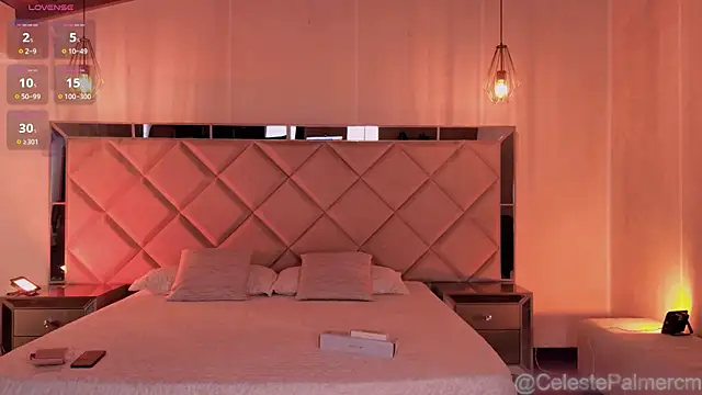 CelestePalmer_ webcam