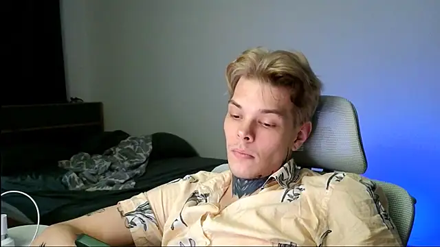 DENIS_HERE webcam