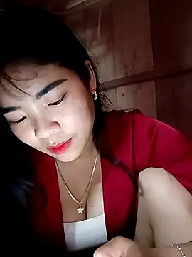 Nul_chal webcam