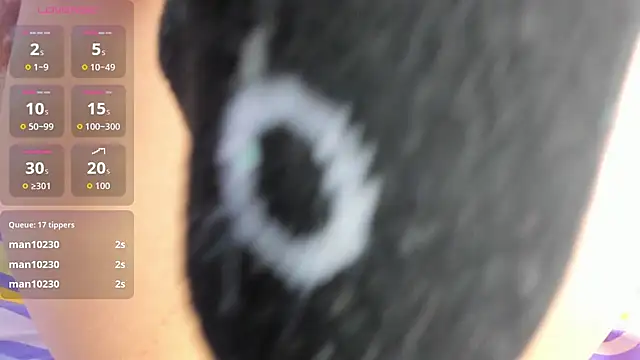 _Cherry_fox webcam