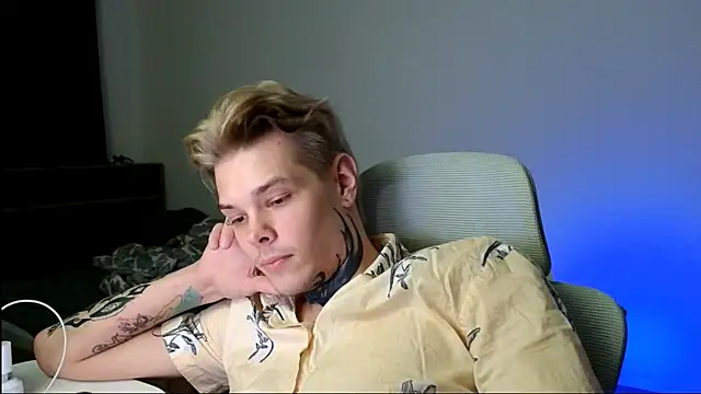 DENIS_HERE webcam