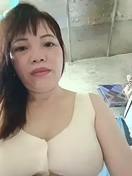 Sana-vn webcam