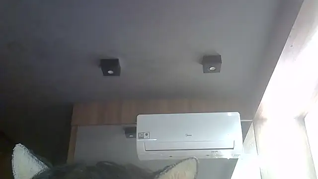 SkinnyKitten webcam