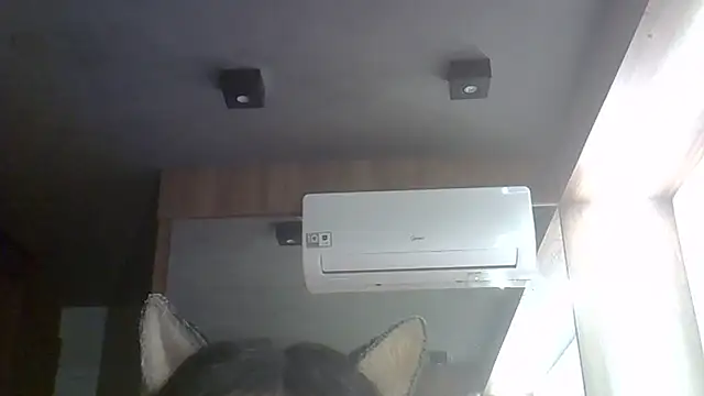 SkinnyKitten webcam