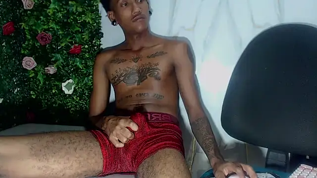 ManSant webcam