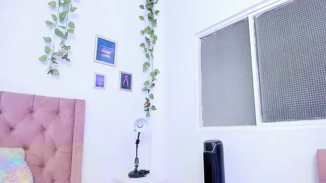 _hade_ webcam