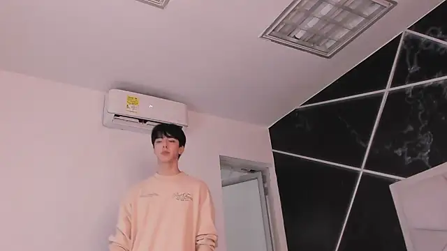 AerumChae webcam