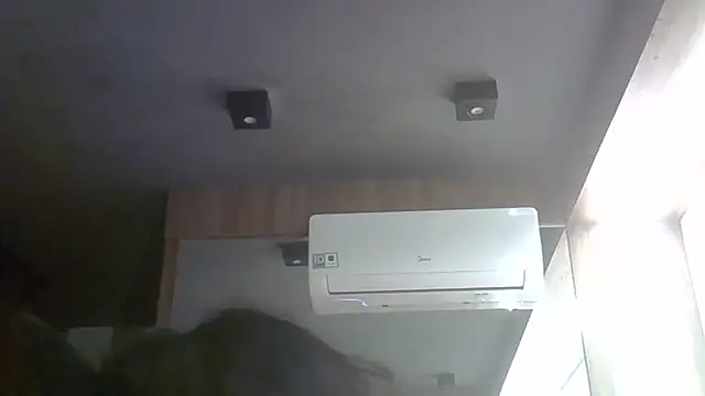 SkinnyKitten webcam