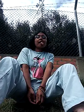 VaneMoon webcam