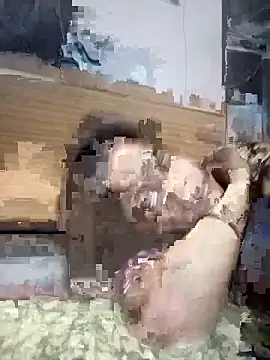 Trisha_71 webcam