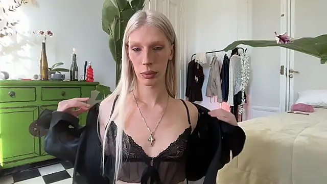 AliceSnowCatt webcam