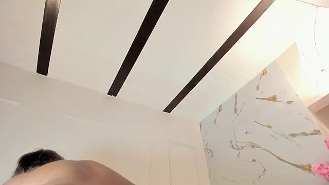 Amykord webcam