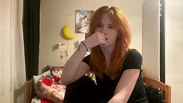 DynaLoom webcam