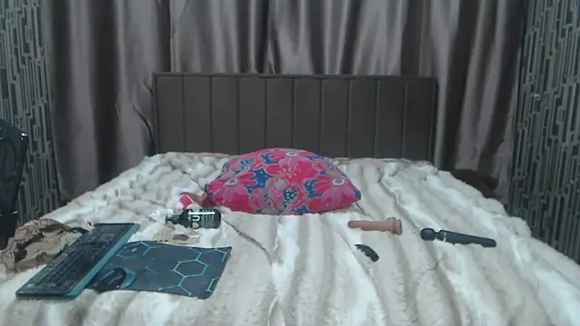 scyrim2 webcam