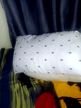 Sisy2026 webcam