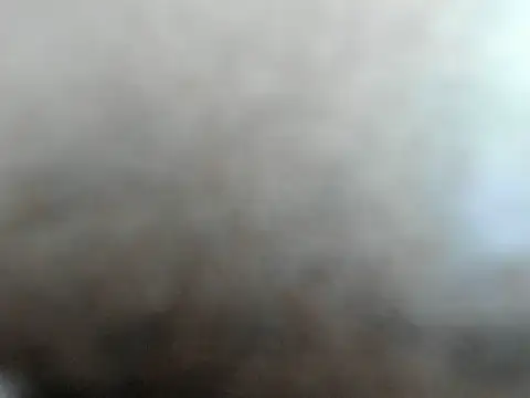 santiago_and_camila webcam
