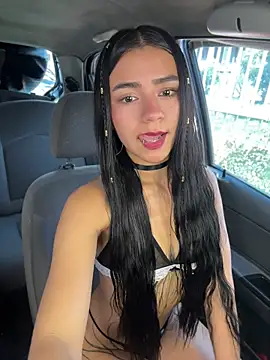 Dakota-fire webcam