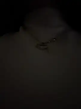 Rafaellaz webcam