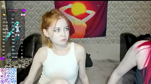 Veldenga webcam