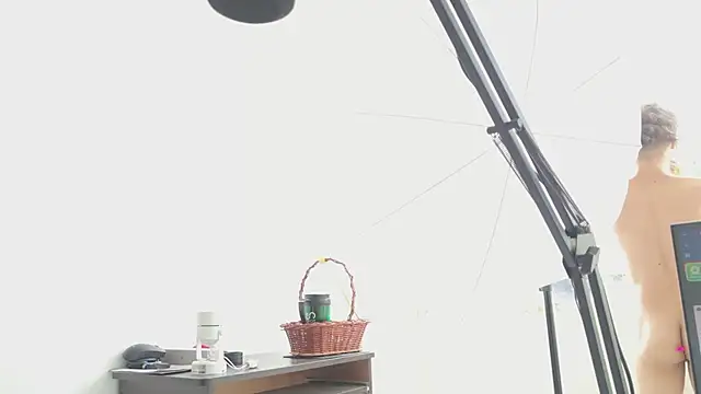 grey___27 webcam