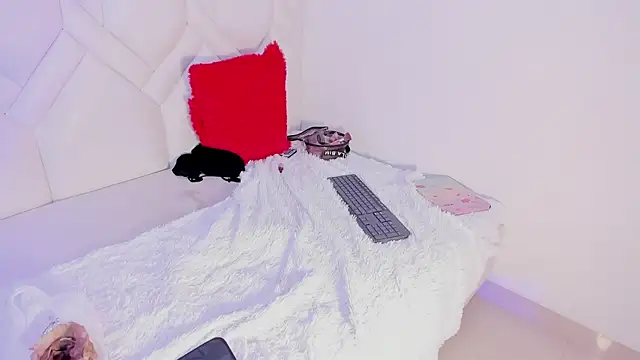 sky_velvet webcam