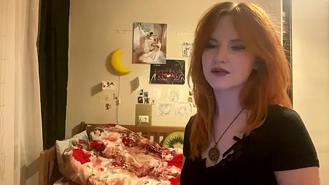 DynaLoom webcam