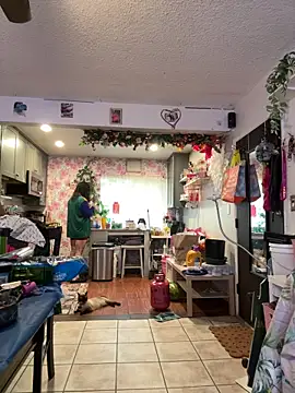 dpenguino webcam