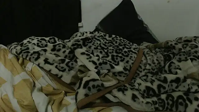 SlimDiamond21 webcam