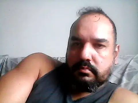 stallony webcam