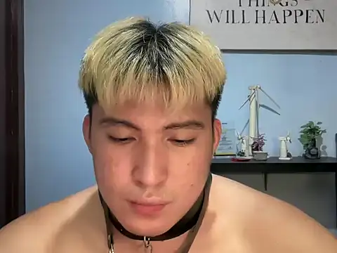 Kingdirtyfog webcam
