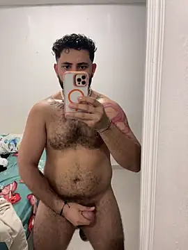 bear_mao_