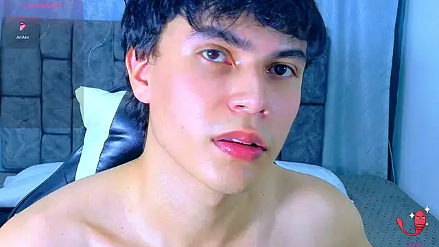 Dantekent webcam