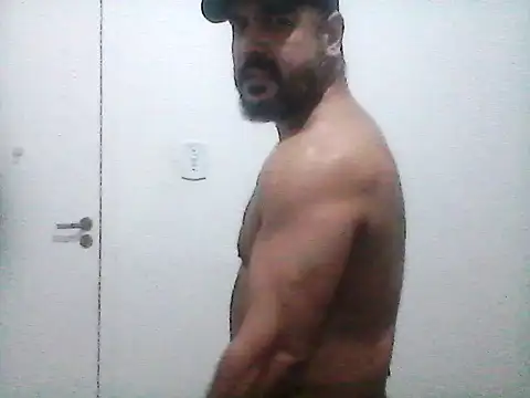 stallony webcam