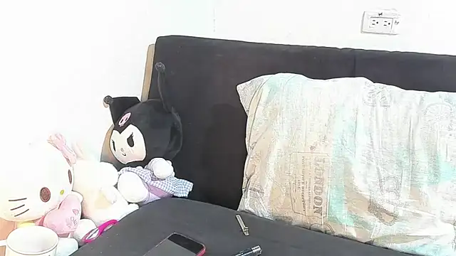 Eirlysx webcam