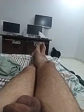 Desiandaj webcam