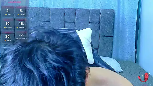 Dantekent webcam