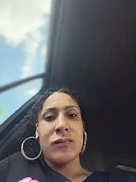 FerrariFrench webcam