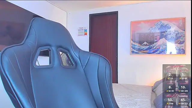 RJBarto webcam