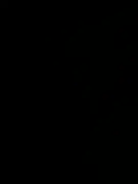 Kalisto2026 webcam