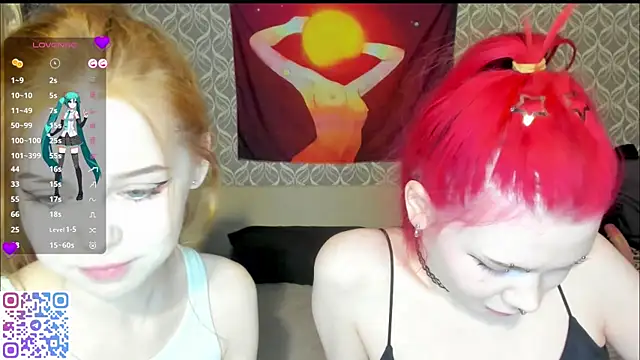 Veldenga webcam
