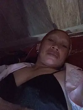 Heli_pusy webcam