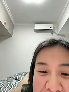 NiNa5203 webcam