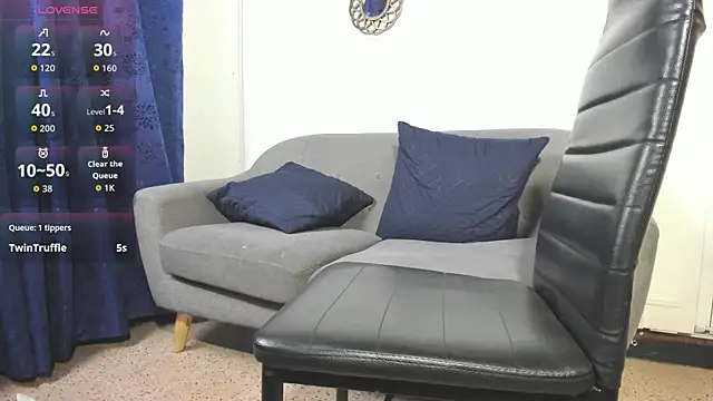 Lyon_vach webcam