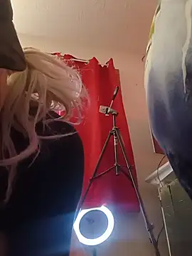 sissytrapdolly24 webcam
