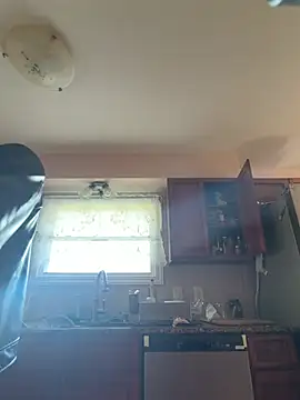hailzeffn webcam