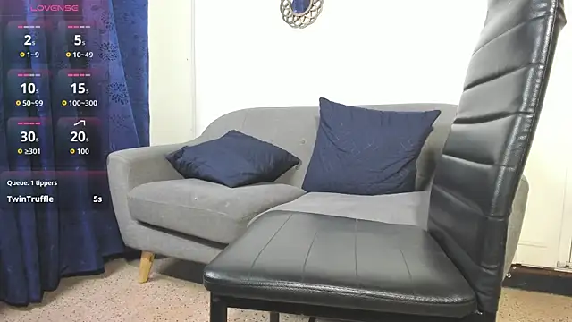 Lyon_vach webcam