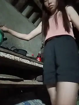 pic8800 webcam