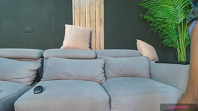 angelstream webcam
