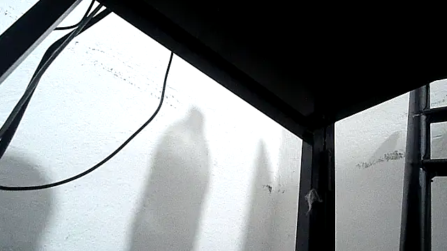 BeaFeet32 webcam