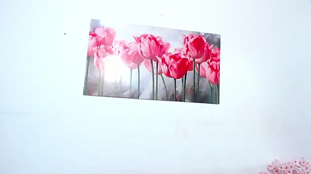 pinky_f00x webcam
